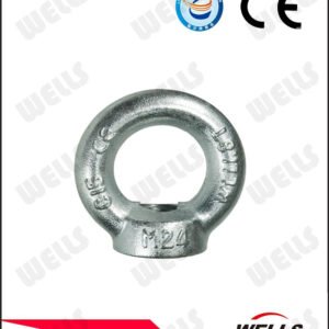 Lifting Eye Nut DIN582